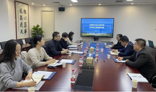 陜西科技控股集團(tuán)有限責(zé)任公司